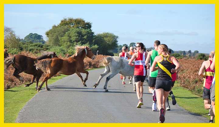 Alton Runners Gallop to Success at New Forest 10